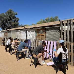 Un grupo de jóvenes voluntarios de InterWay sentados en fila al aire libre pintando estructuras de madera bajo el sol de California.