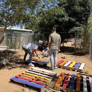 Estudiantes del programa de verano de InterWay en EE. UU. trabajando en equipo para pintar tablas de madera con colores llamativos en una zona comunitaria.
